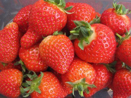 135962 jahodnik magnum