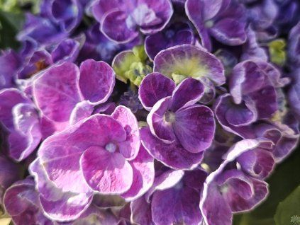 20260402 095039 resized 1