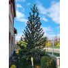 36024 4 36024 4 36024 4 blahocet cilsky