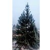 36024 11 36024 11 36024 11 blaho et