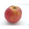 43032 1 jablon red boskoop