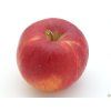 43086 4 jablon red topaz