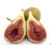 39702 4 ficus carica peretta 6