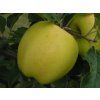 42582 1 jablon heliodor
