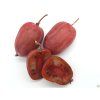 Kiwi 'Purpurna Sadowa' (Balení kontejner C2)
