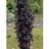 black tower2