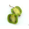 Actinidia Domino (3)