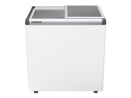 EFE 2200 (1)