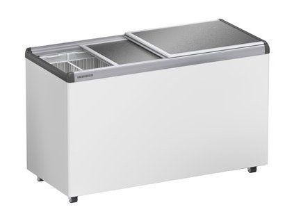EFE 4600