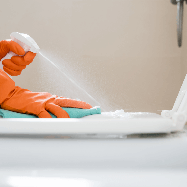 Jak vyčistit záchodové prkénko