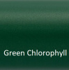 Green Chlorophyll