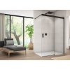 Ronal CADURA CAW2 Walk-In Pevná stěna samostatná s posuvným dílem 100 cm