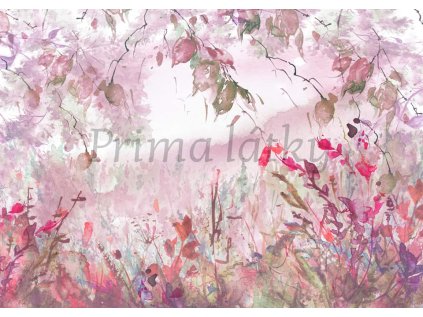 10756 145908793 10219287492125977 3764566225553200666 n