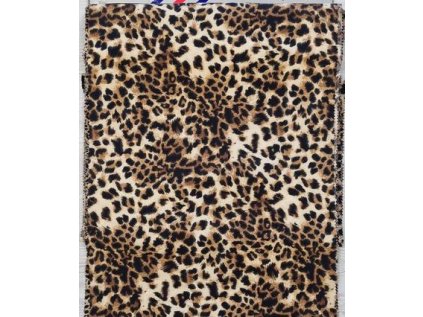 112978 480561482 1104436111696533 915253134614277159 n