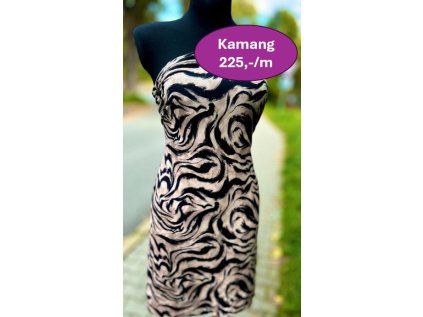 128458 558889677 1307374508069358 669845963971555986 n