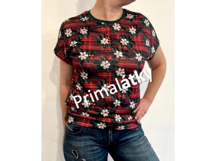 Snímek obrazovky 2025 11 14 093113