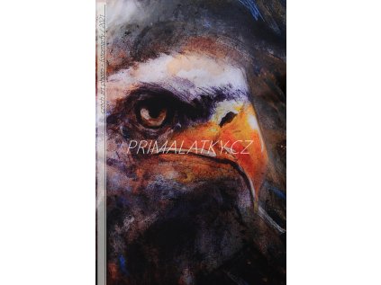 12973 2 teplakovina deluxe 210823a 280 g m2 100x90cm inv