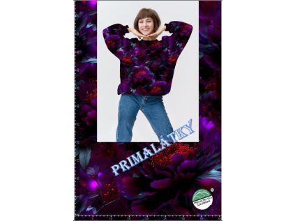 Snímek obrazovky 2025 11 25 111751