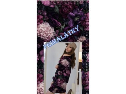 Snímek obrazovky 2025 11 25 111335