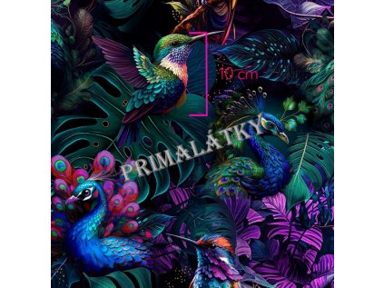 Snímek obrazovky 2025 11 26 141645