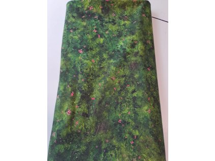 15780 1 teplakovina doplnkova strom podle rocnich obdobi jaro odhad inv