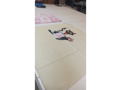 22254 2 456586910 970282645111881 5582723896736908488 n