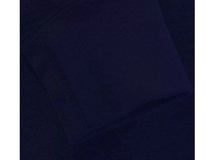 a1