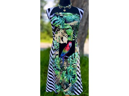 5684 3 512030911 1212545894218887 9174697004143076542 n