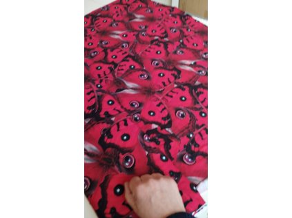 5927 1 492147096 1160967106043433 6776619845822795361 n