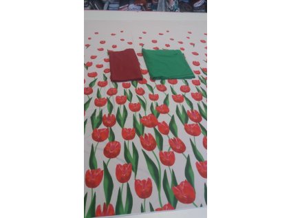 tulipány