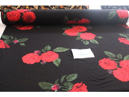 441153524 897199155753564 3068657836960796608 n