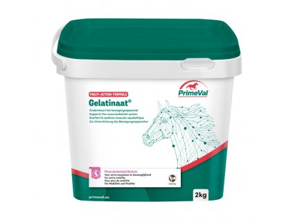 Primeval Gelatinaat 2Kg