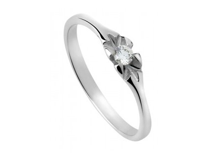 22602215850 (Typ prstenu Dámský, Velikost (dámský) 65)