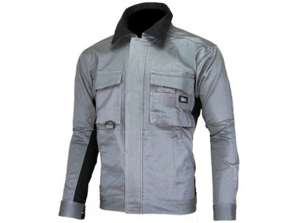 stažený soubor (1)