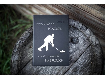 diar profesni 13