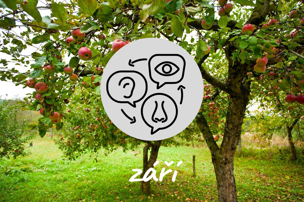 Poznávejte přírodu všemi smysly: září