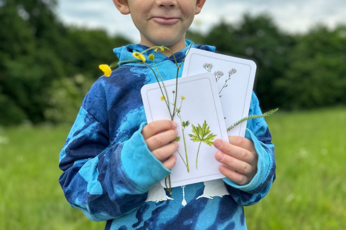 7 tipů na aktivity s kartami od Příroda do kapsy