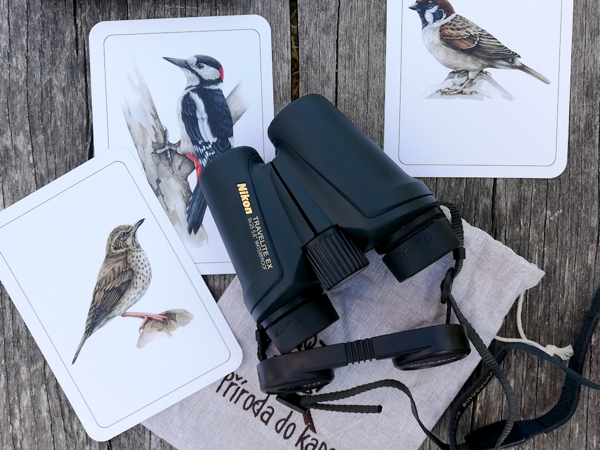 Jaké pomůcky se vyplatí pořídit dětem pro pozorování přírody?