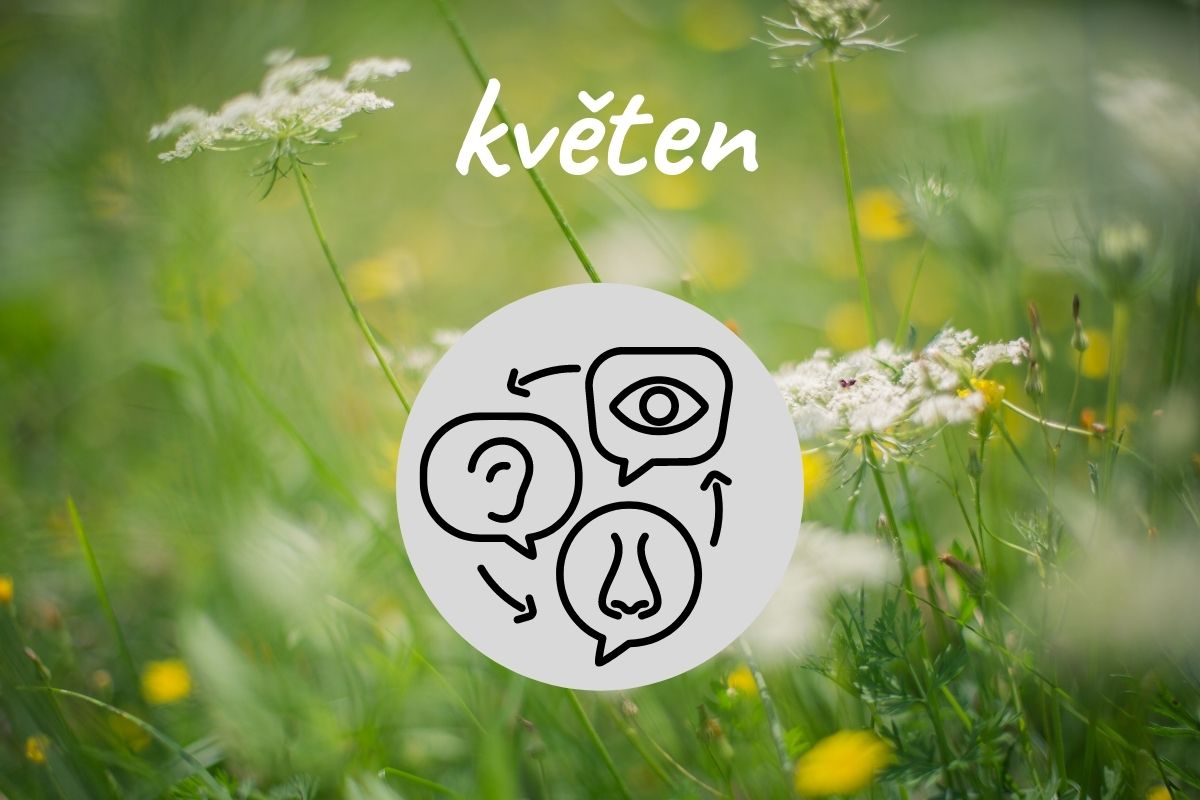 Poznávejte přírodu všemi smysly: květen