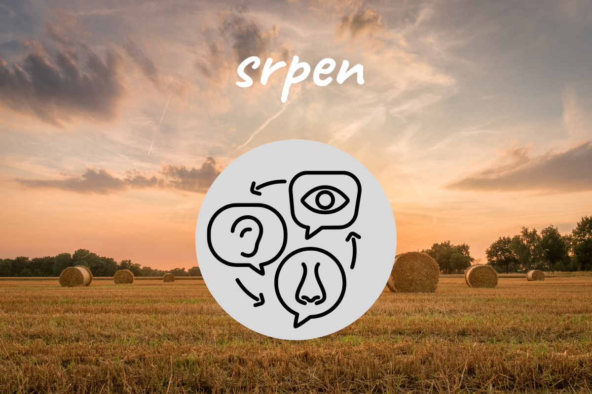 Poznávejte přírodu všemi smysly: srpen