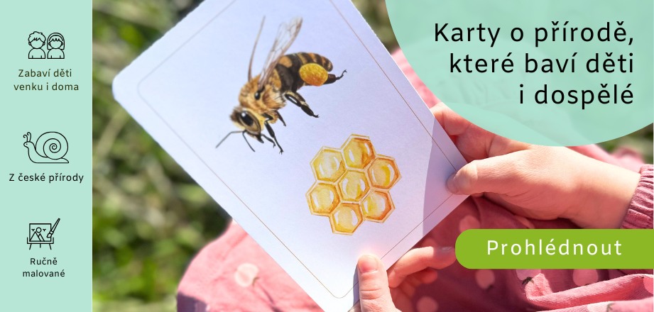 Karty o přírodě,  které baví děti i dospělé