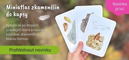 Nové karty které vás zavedou do dávných časů!