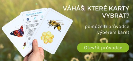 Náš průvodce výběrem karet vám pomůže při výběru