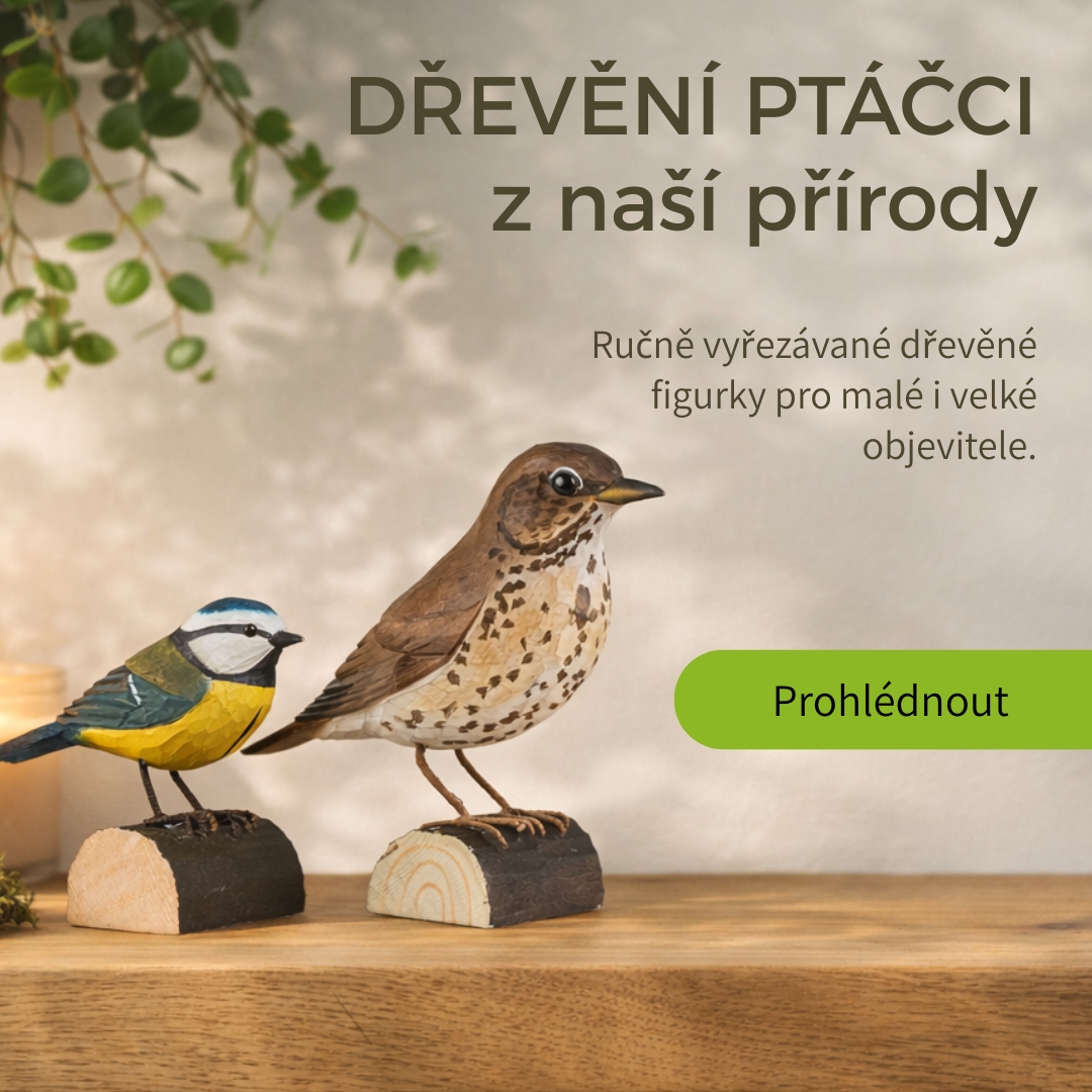 Nová kolekce vyřezávaných ptáčků