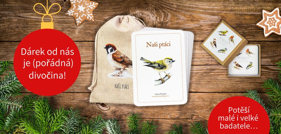 Dárek od nás je pořádná divočina