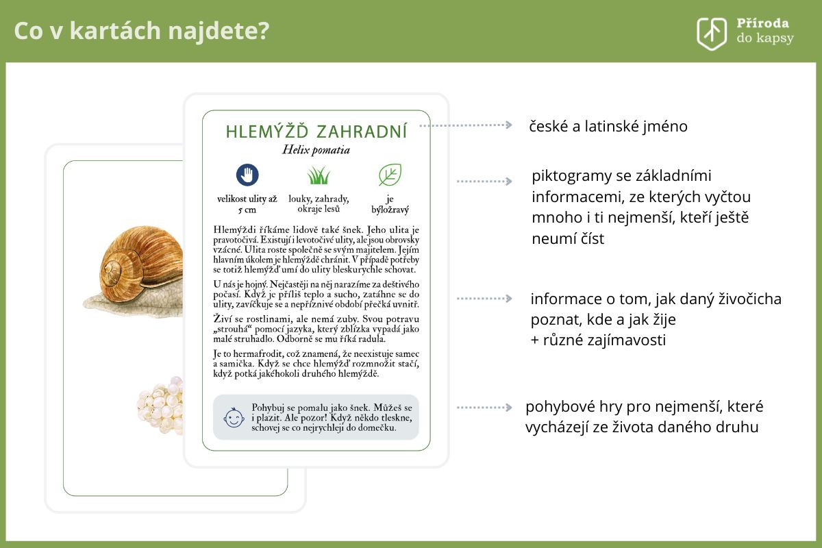 Vyukove-karty-co-se-deje-v-trave