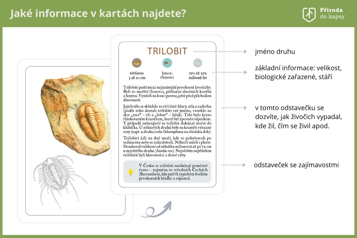 Vyukove-karty-miniatlas-zkamenelin-do-kapsy
