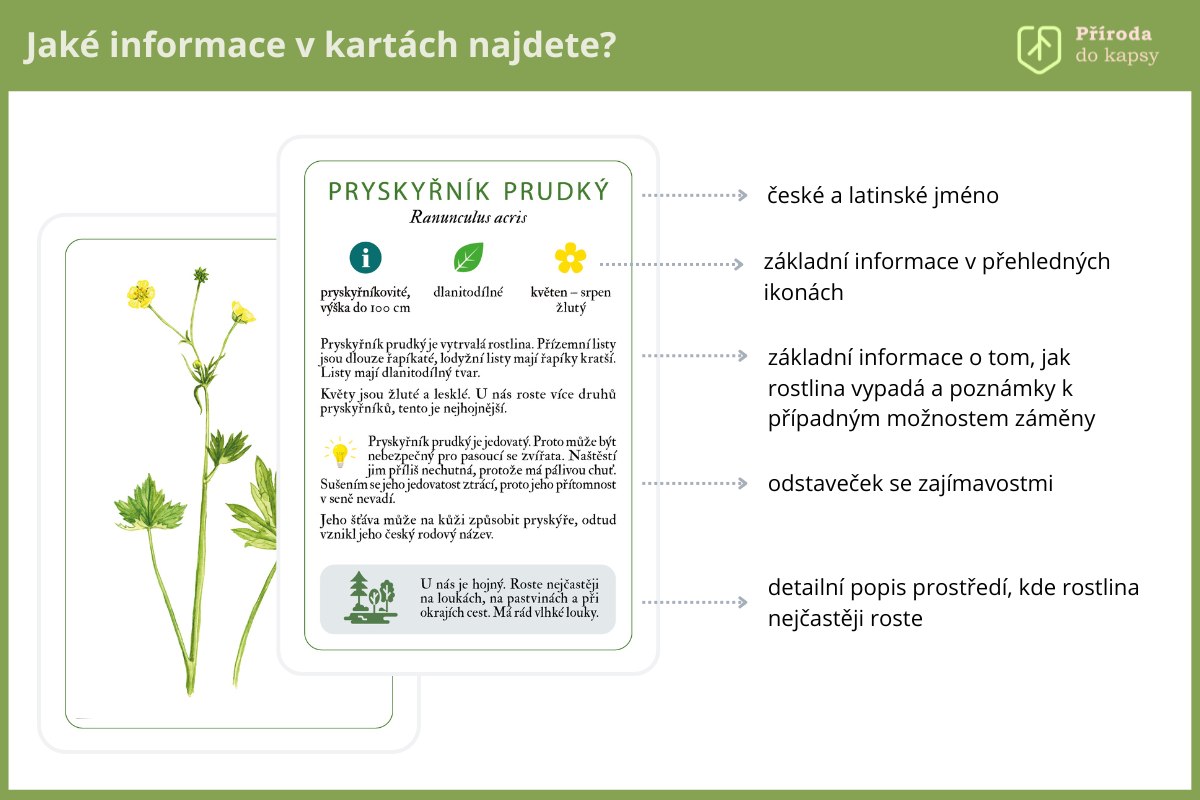 Vyukove-karty-rostliny-luk-a-mezi