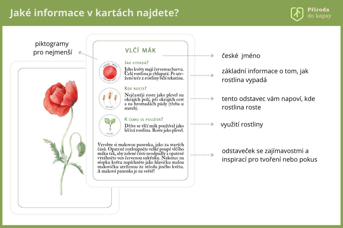 Vyukove-karty-zazitkove-rostliny-pro-nejmensi