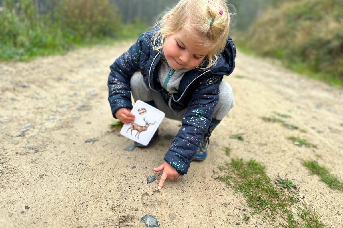 jak-vyuzit-karticky-priroda-do-kapsy-hledacka_1